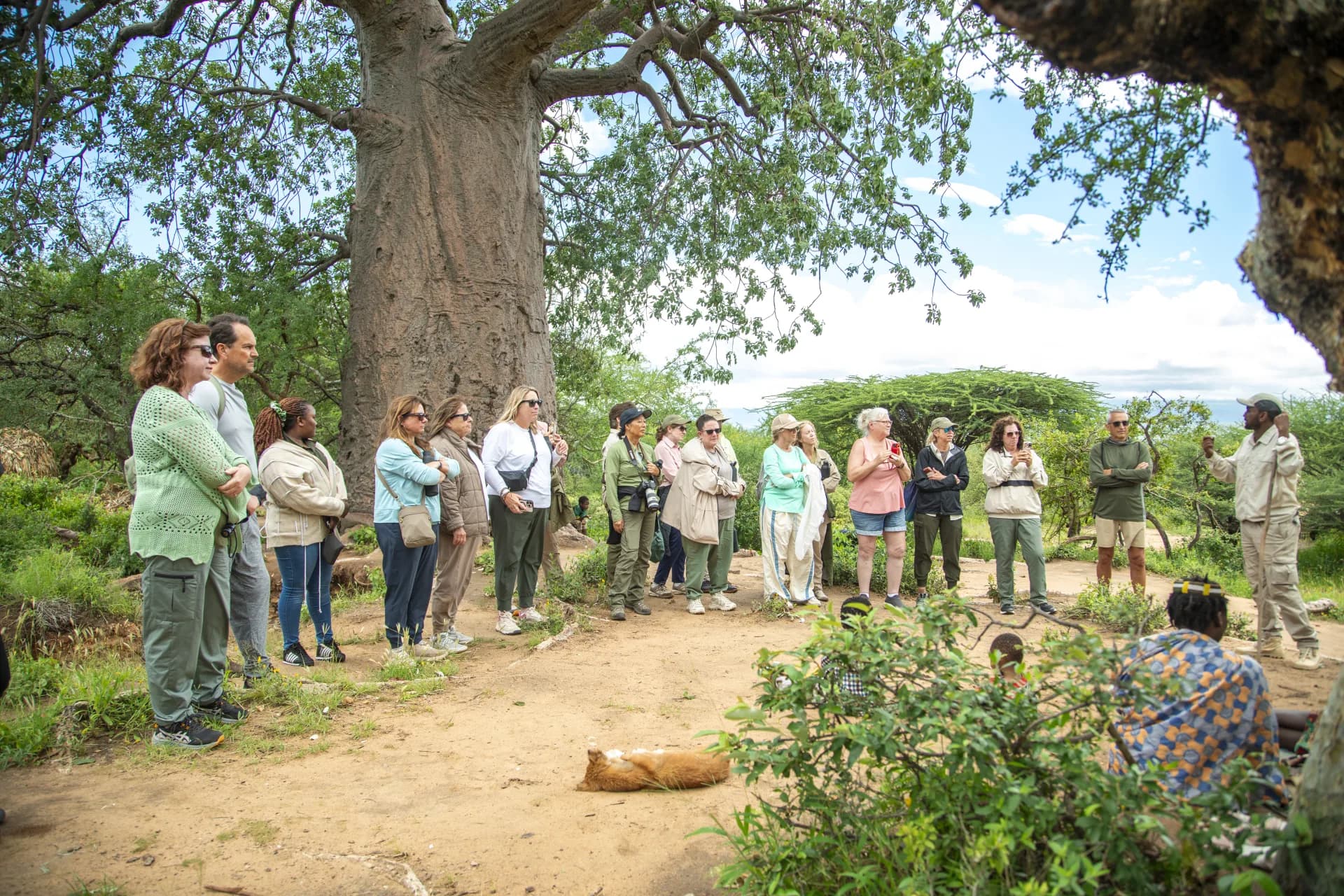 Safari guests and their guide standing together under a baobab tree