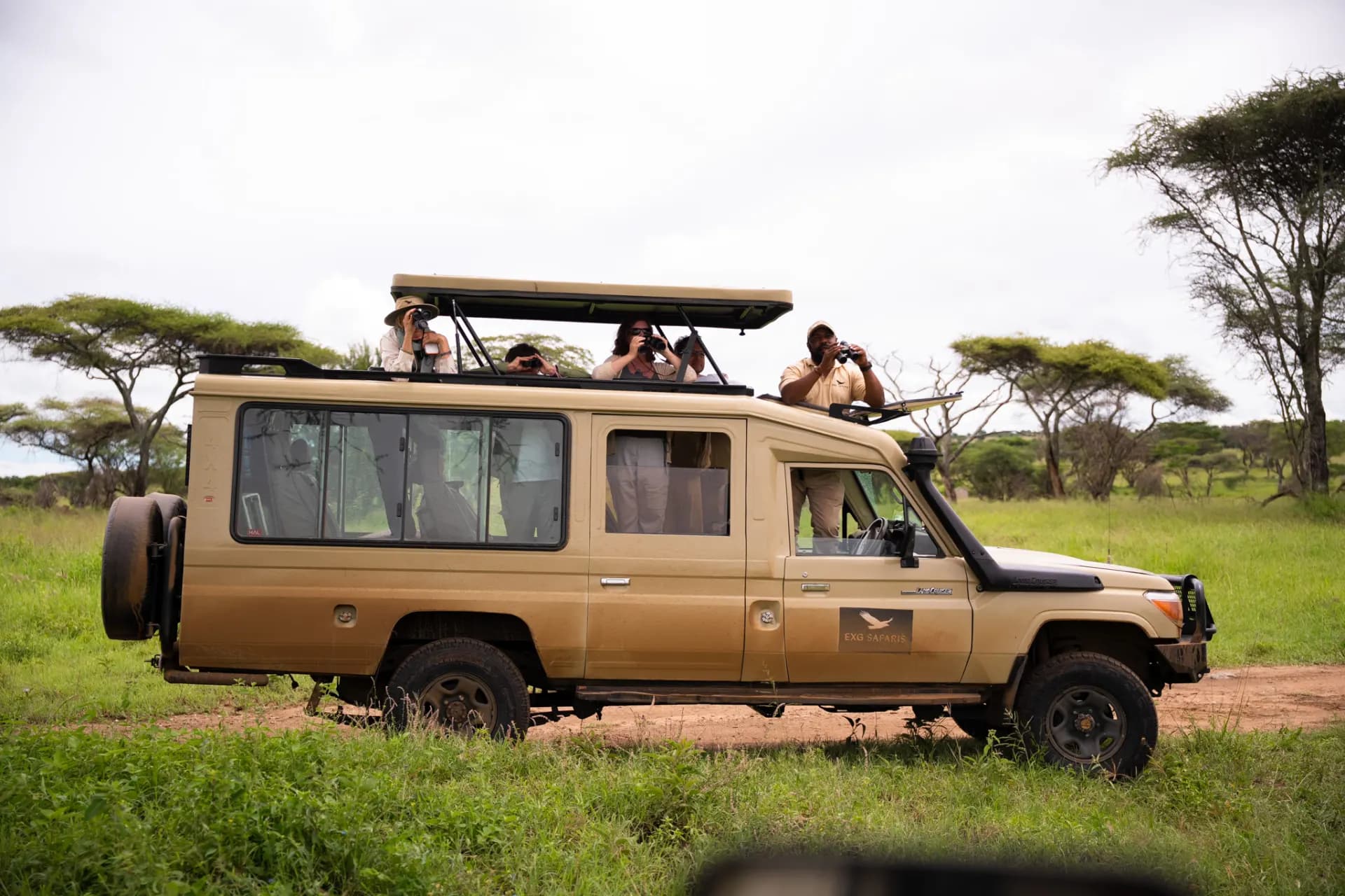 Tourists using binoculars from the roof hatch of an EXG Safaris Land Cruiser on a game drive