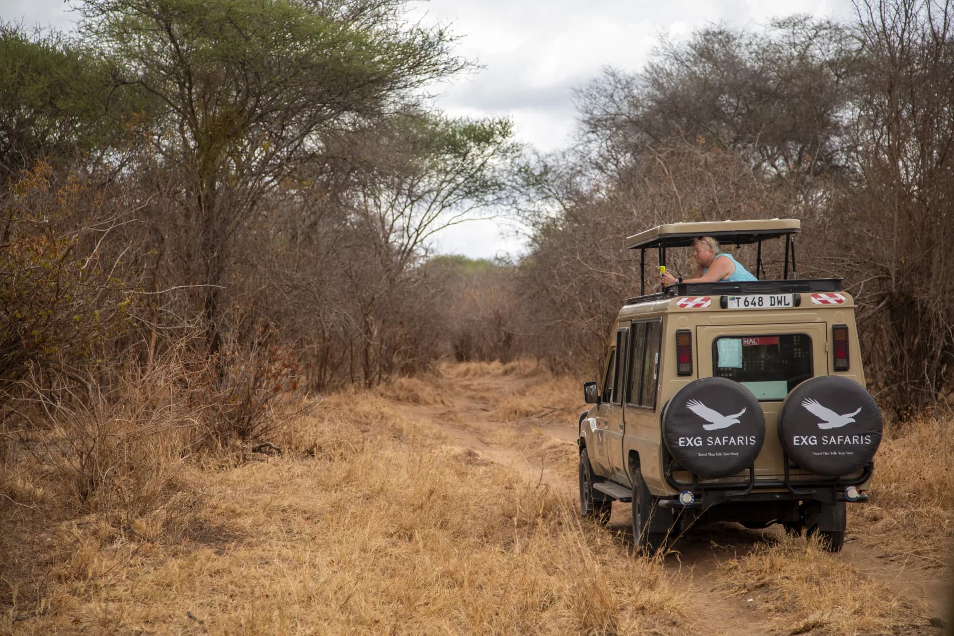 The Serengeti at First Light: What a Sunrise Game Drive Is Actually Like