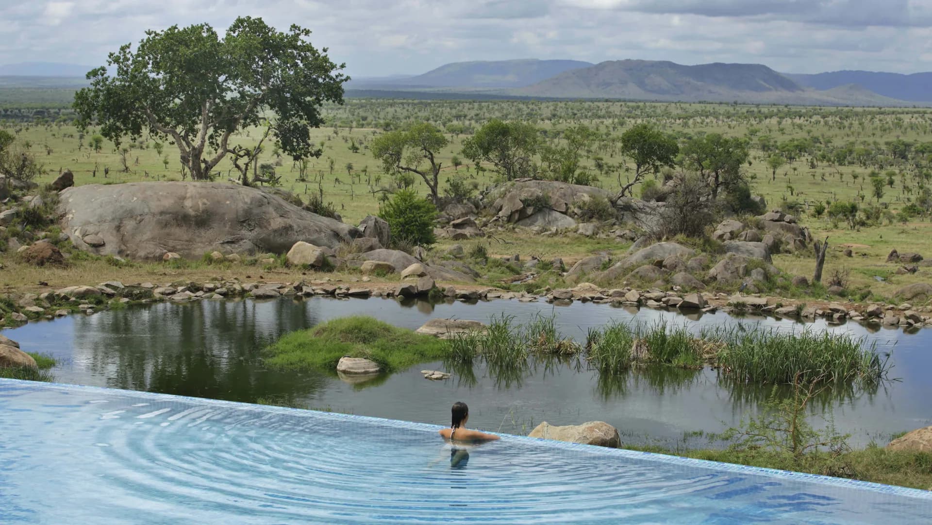 Infinity pool at Four Seasons Serengeti, overlooking a natural waterhole and the open plains