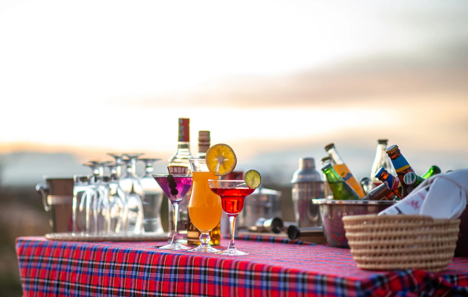 8-Day Corporate & Executive Safari