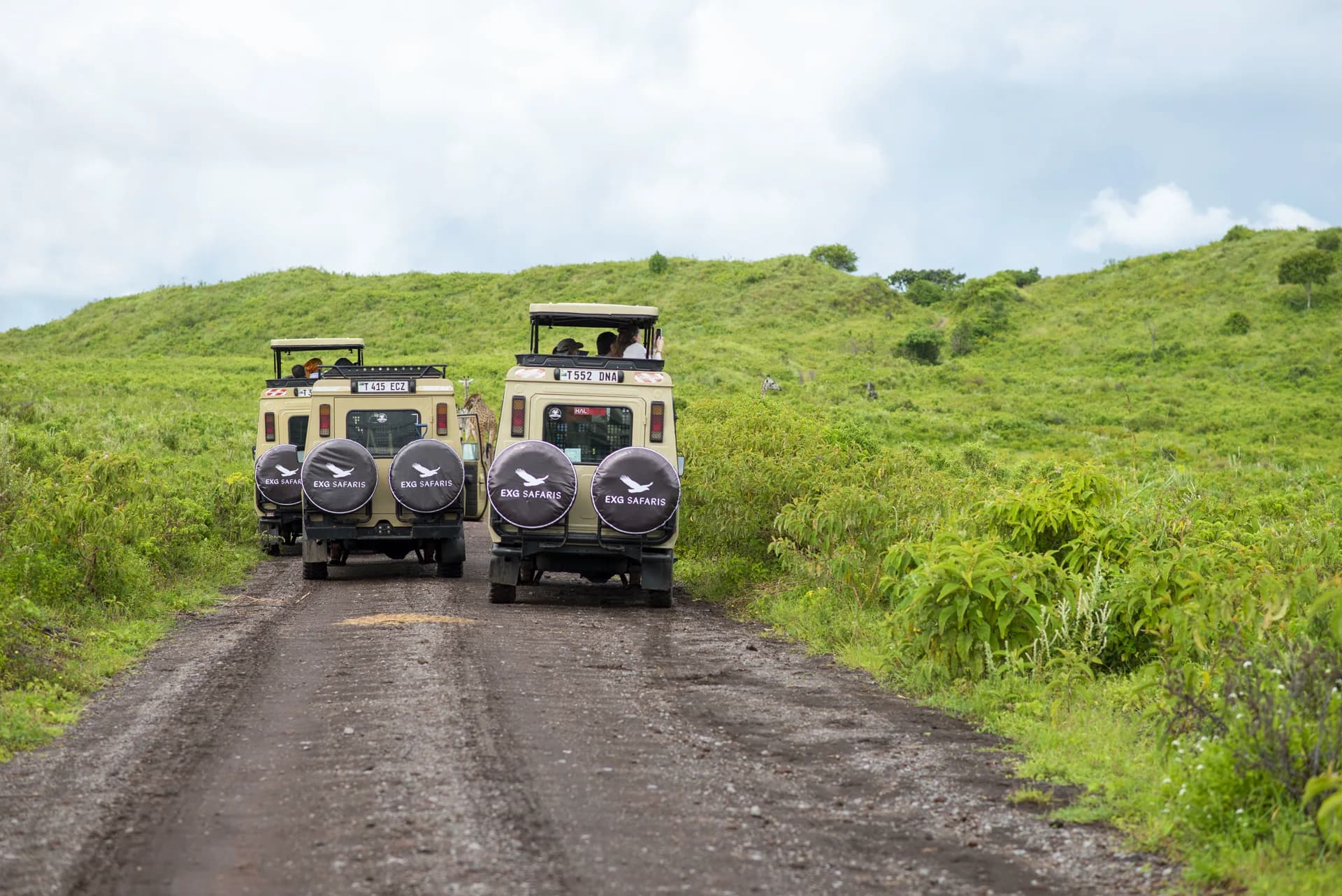 Tarangire Full Day — representative photo