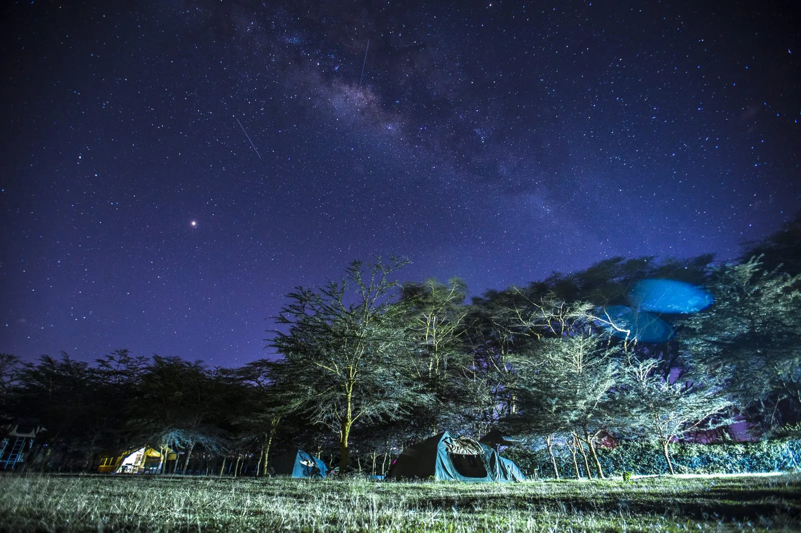You Don't Need a Million Followers to Work With a Safari Operator