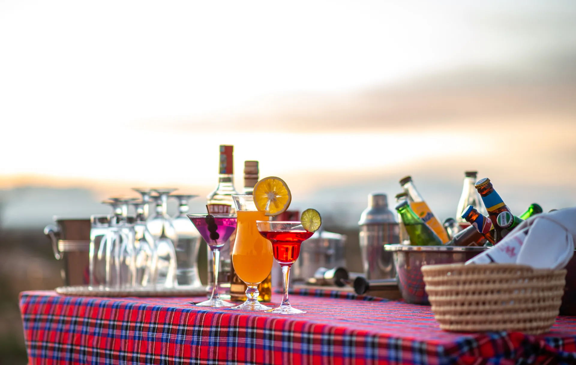 8-Day Corporate & Executive Safari