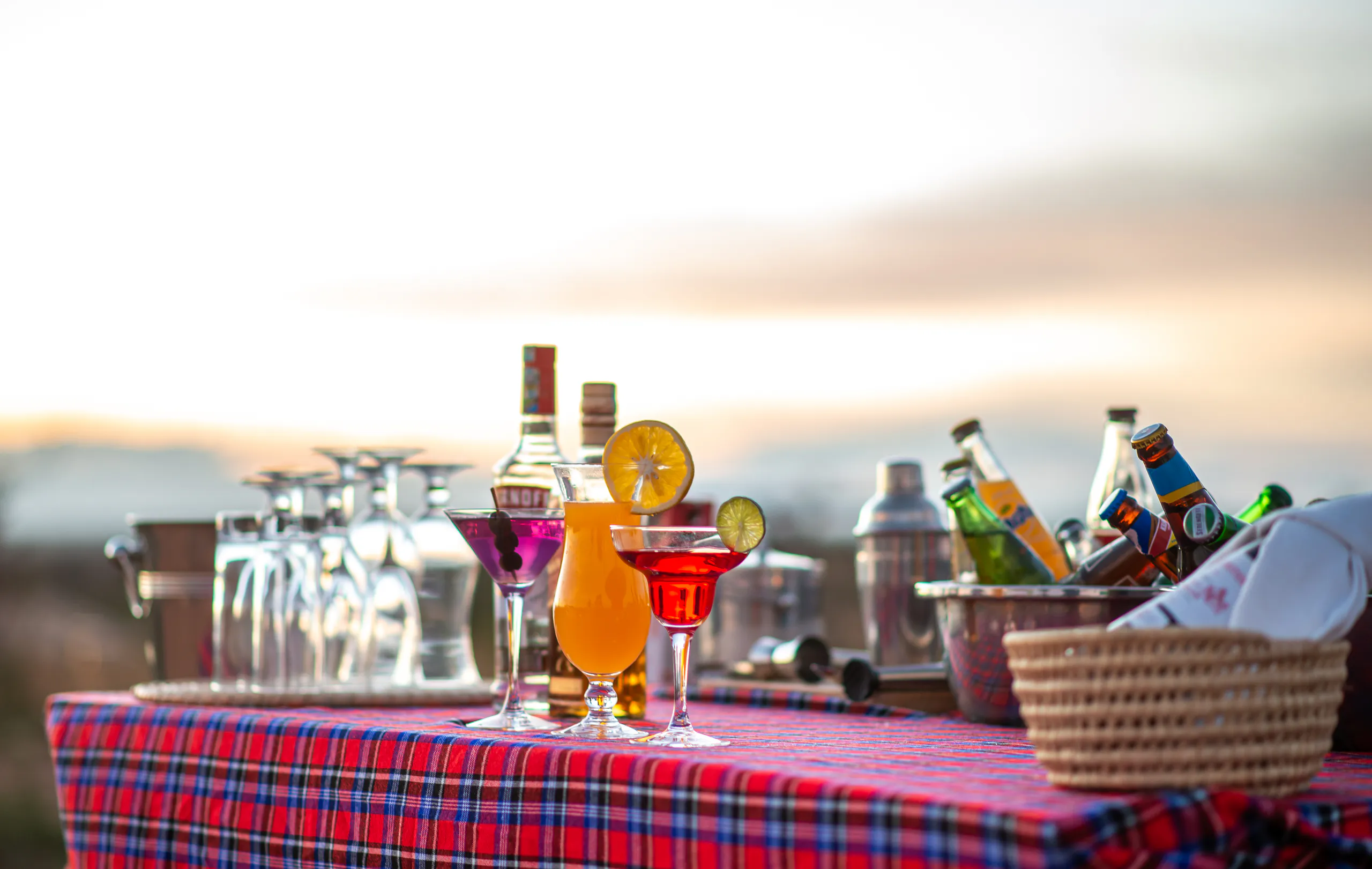 How Much Does a Tanzania Safari Cost?