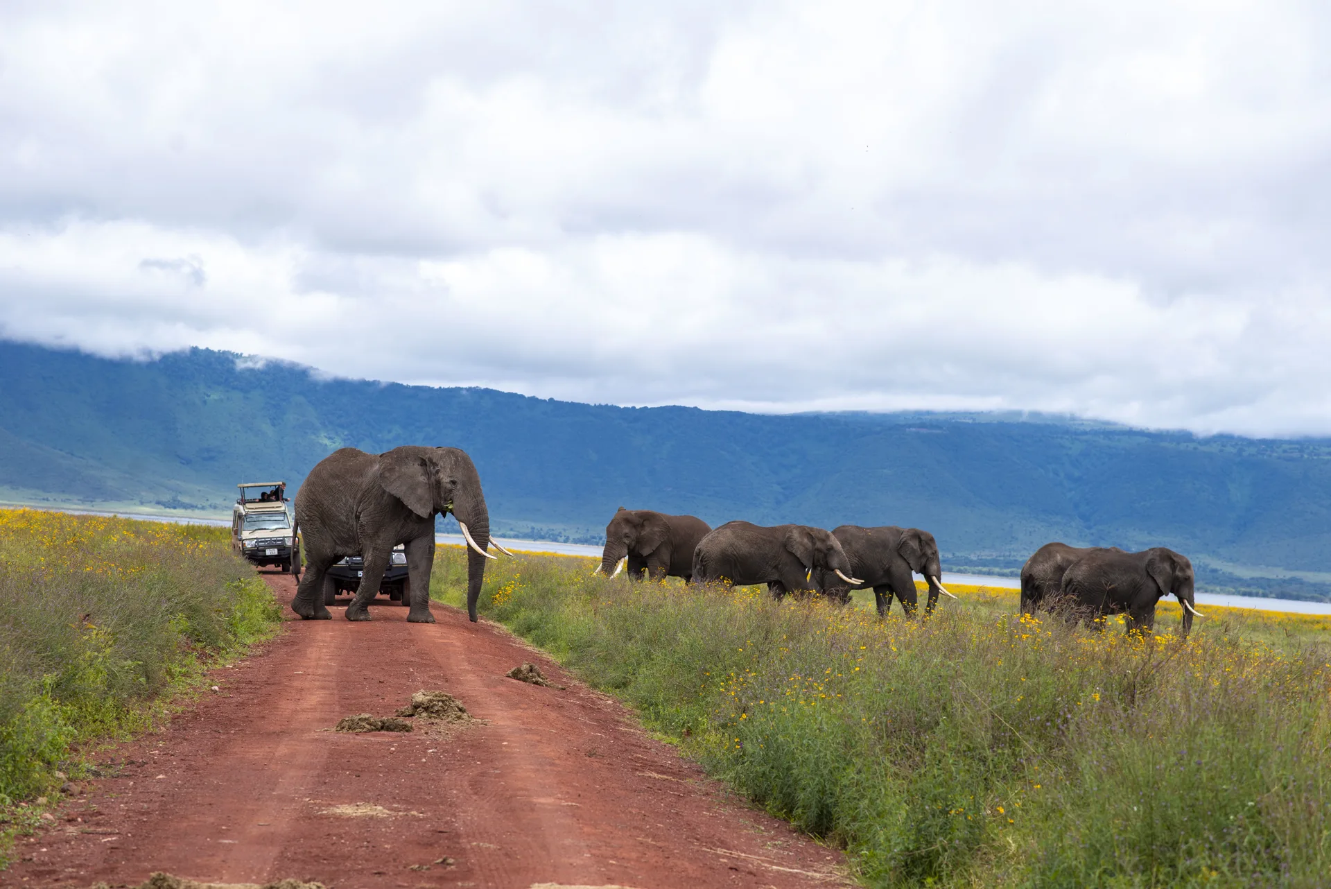 Six Destinations. One Route That Fits Your Trip.