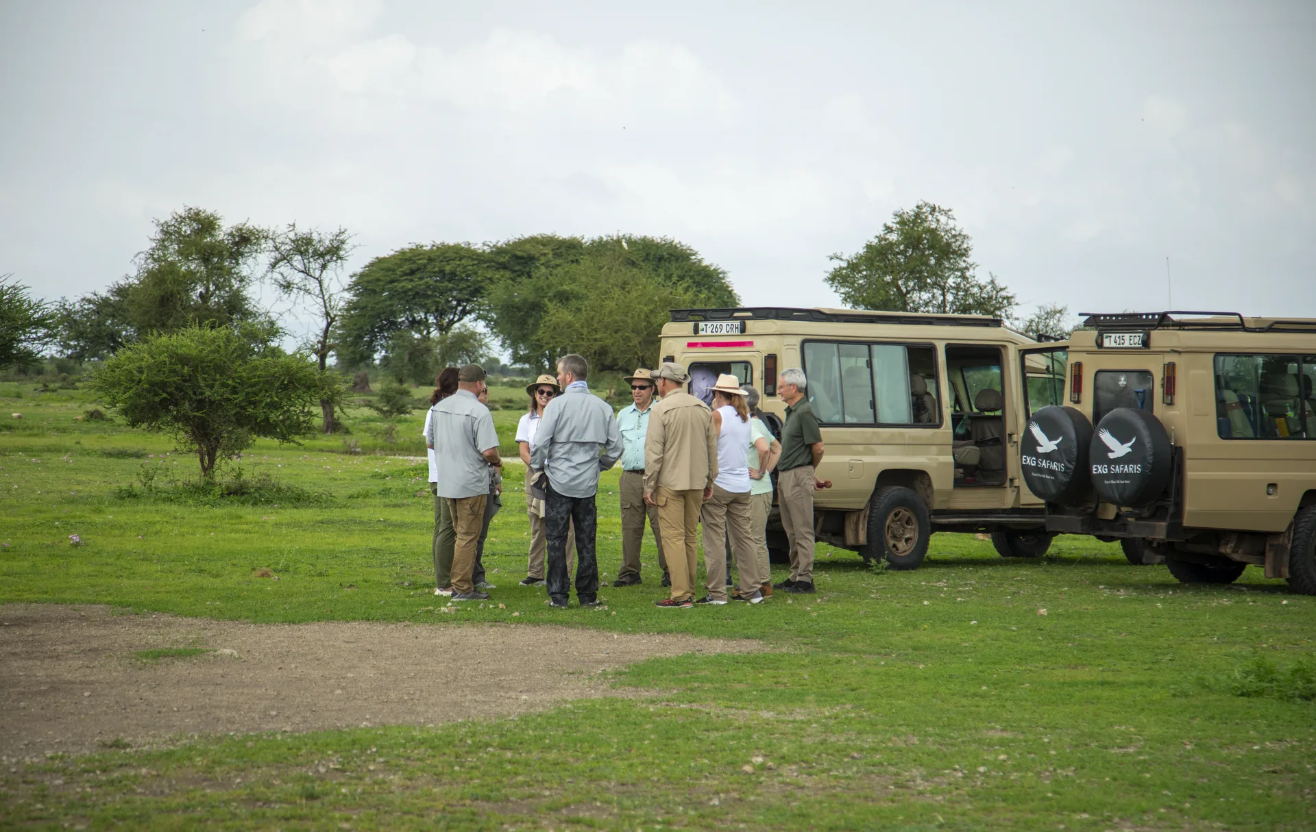 Which Tanzania Safari Is Right for You?