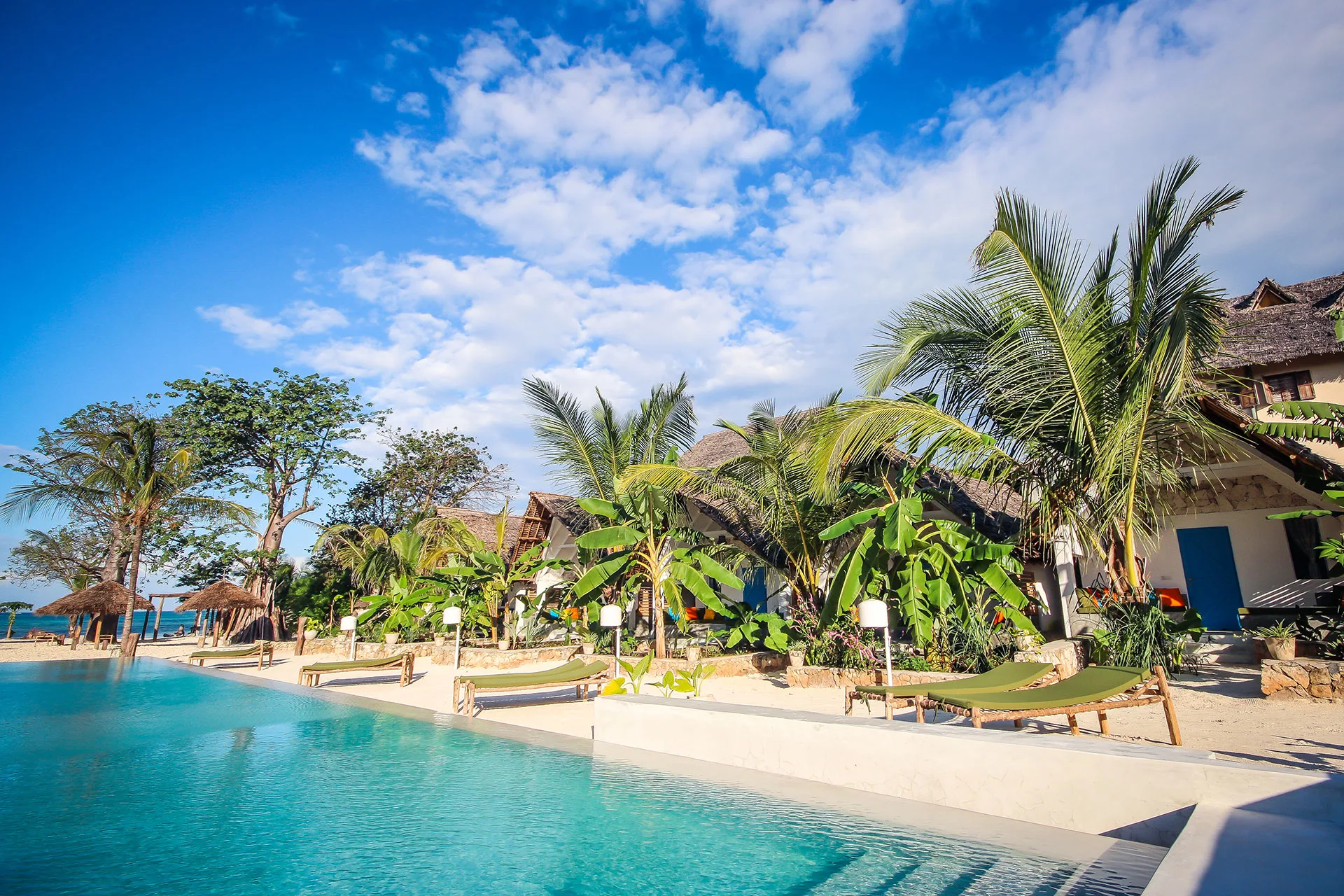 End the Safari the Way You'll Want to Remember It.