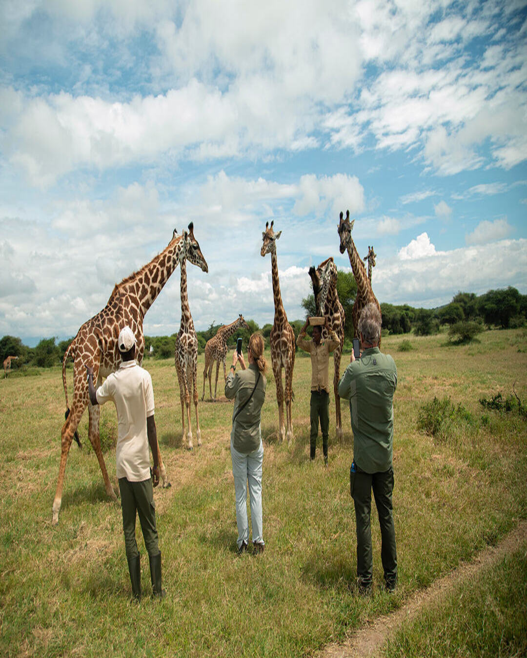 After the Stadium, Find the Silence: Why World Cup Fans in LA, NYC & Miami Should Take Their “Overtime” in Serengeti & Ngorongoro
