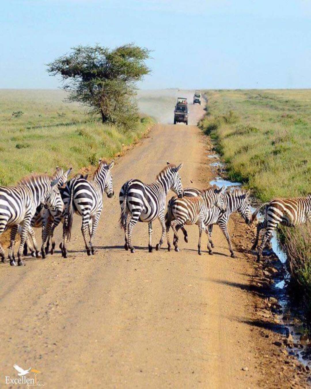 Why a Small, Local Company Takes Better Care of You Than a Giant Tour Brand