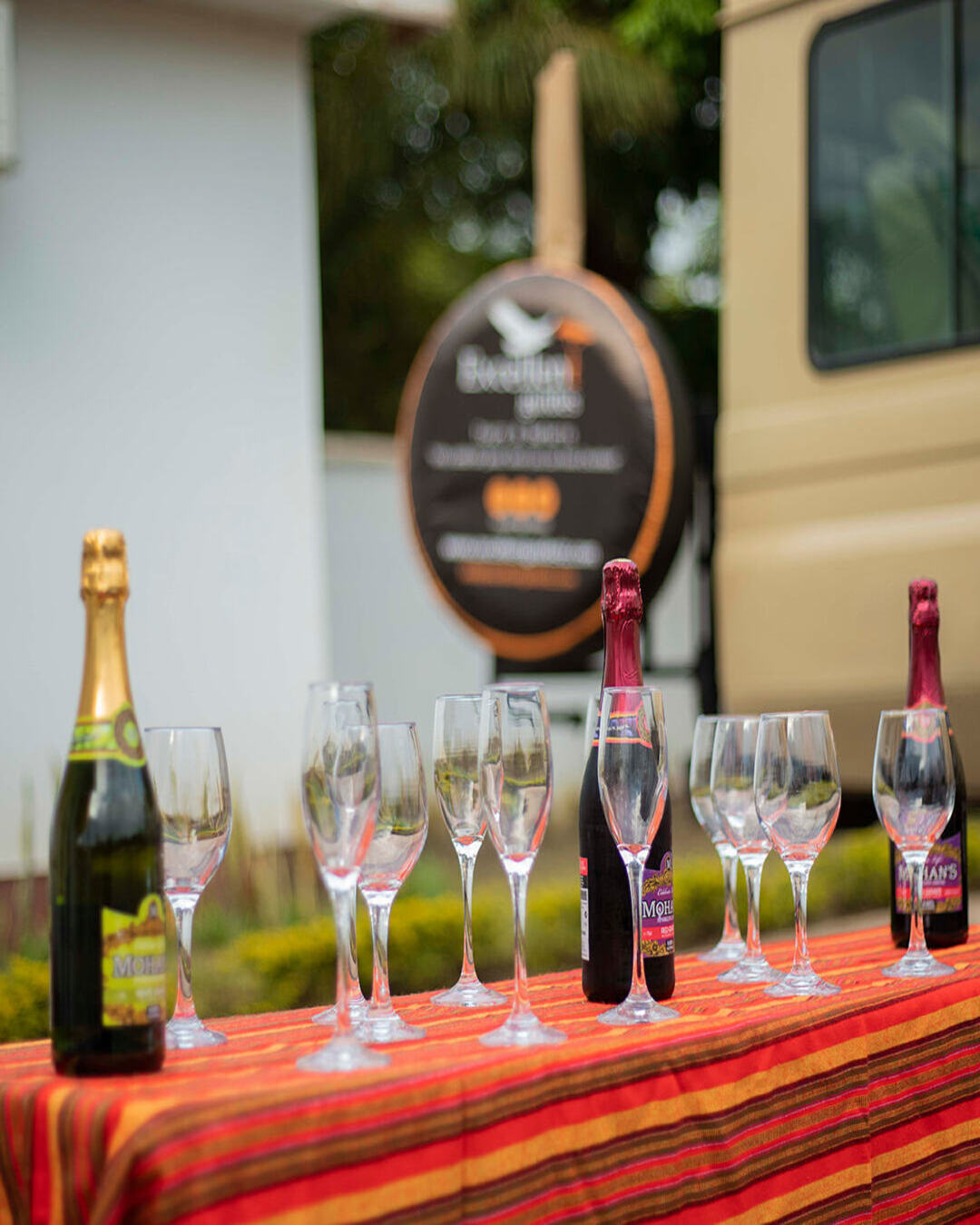 Inside the Safari Jeep: What Safety Really Looks Like in the Wild