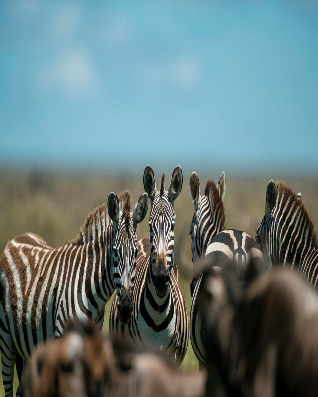 The Moment the Screens Go Quiet